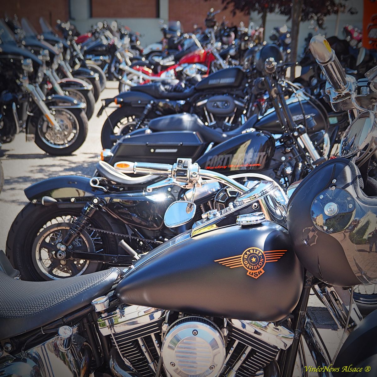 Foire Aux Vins, Steve Neff, Harley-Davidson