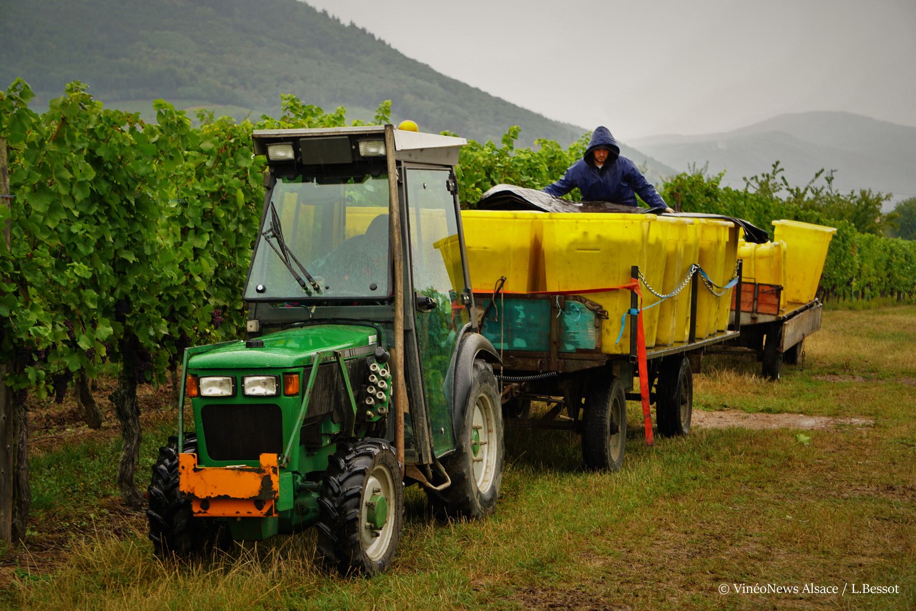 Domaine Allimant-Laugner