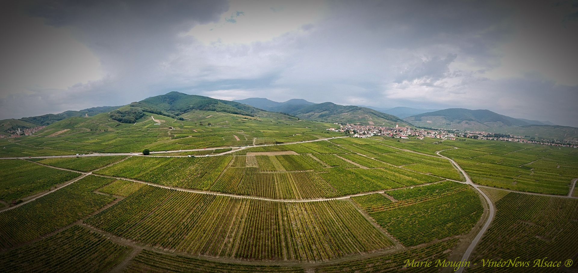Domaine Marcel Freyburger, les vendanges 2018