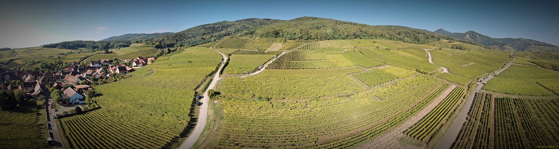 Vendanges 2018, Cave de Hunawihr