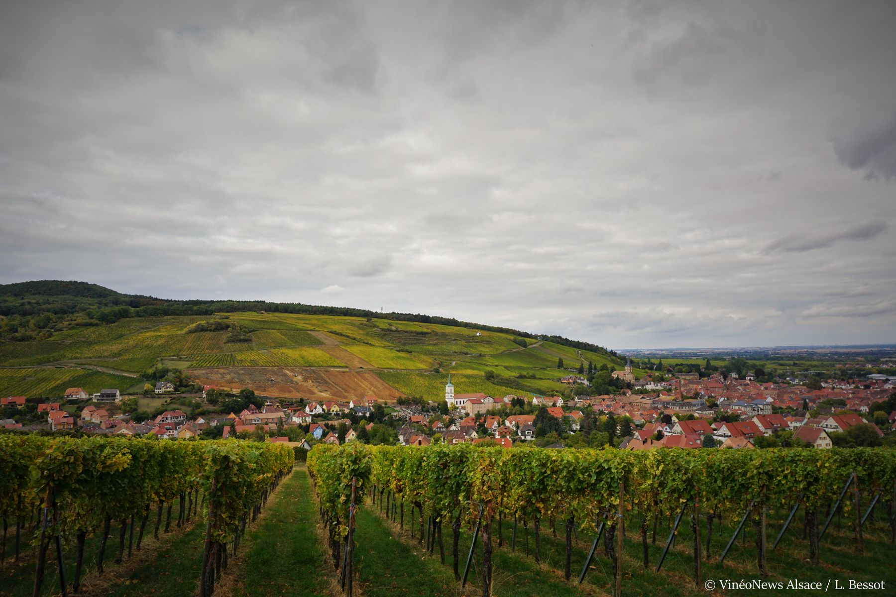 Domaine Hering