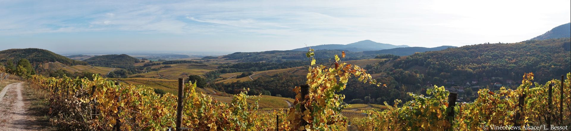 Domaine Borès