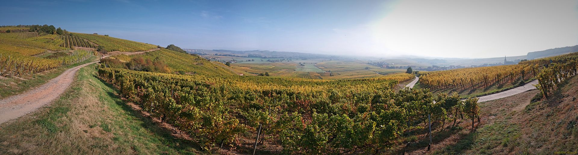 Domaine Hubert Metz
