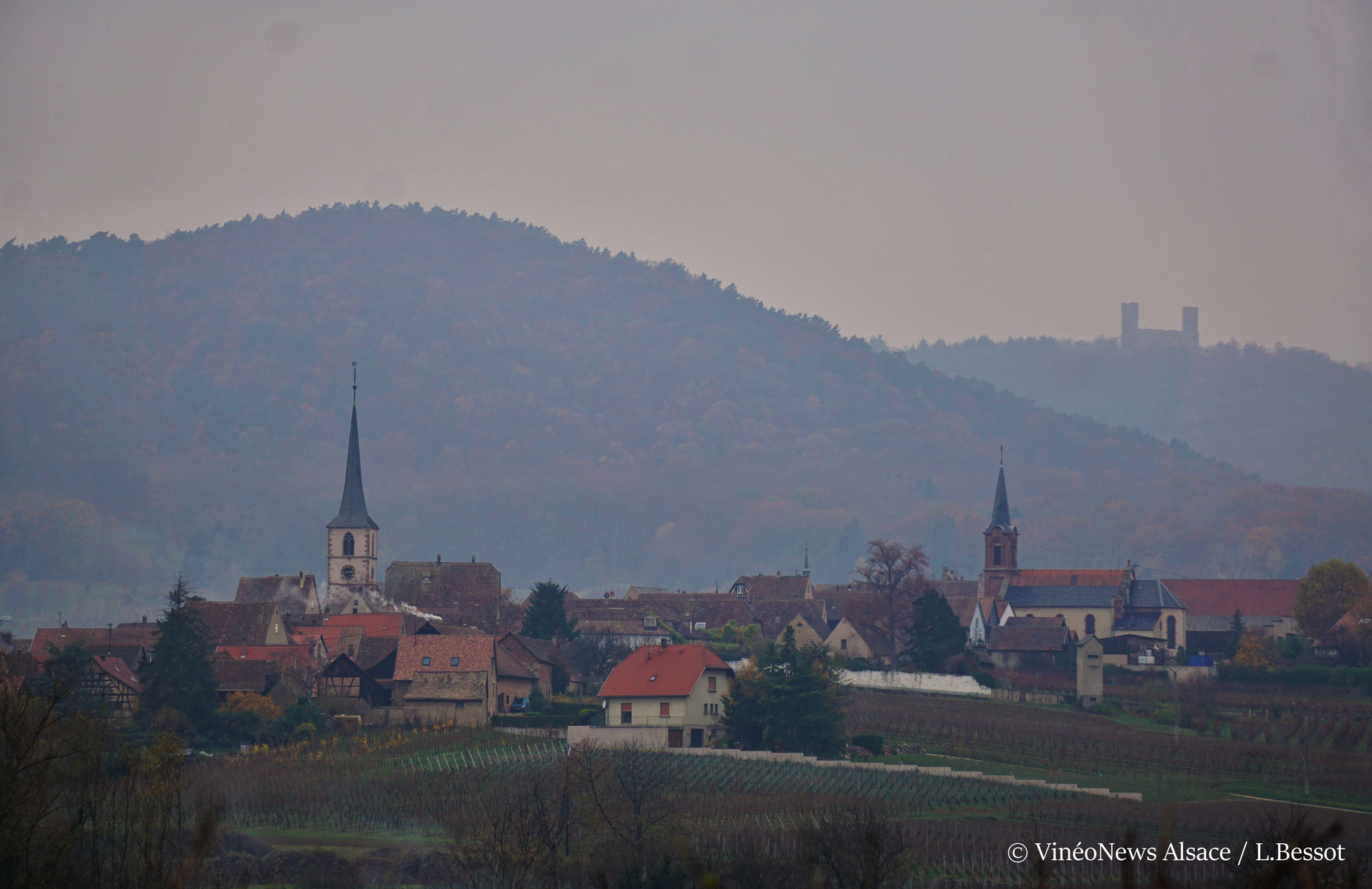 Domaine Armand Gilg, les vendanges 2018