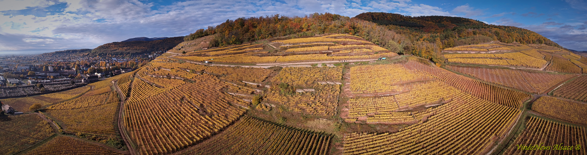 Domaines Schlumberger, les vendanges 2018