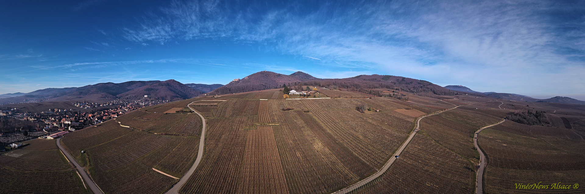 Domaine Ostermann, la taille