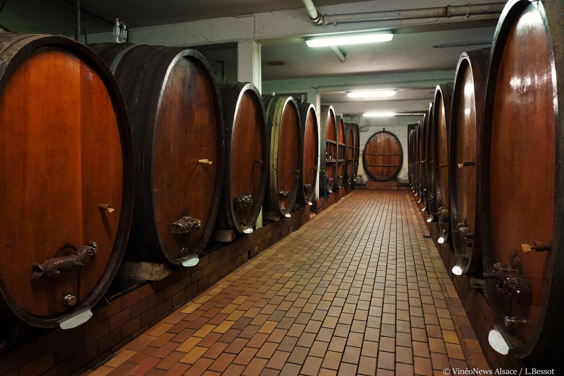3V1D… le Domaine Rieflé-Landmann
