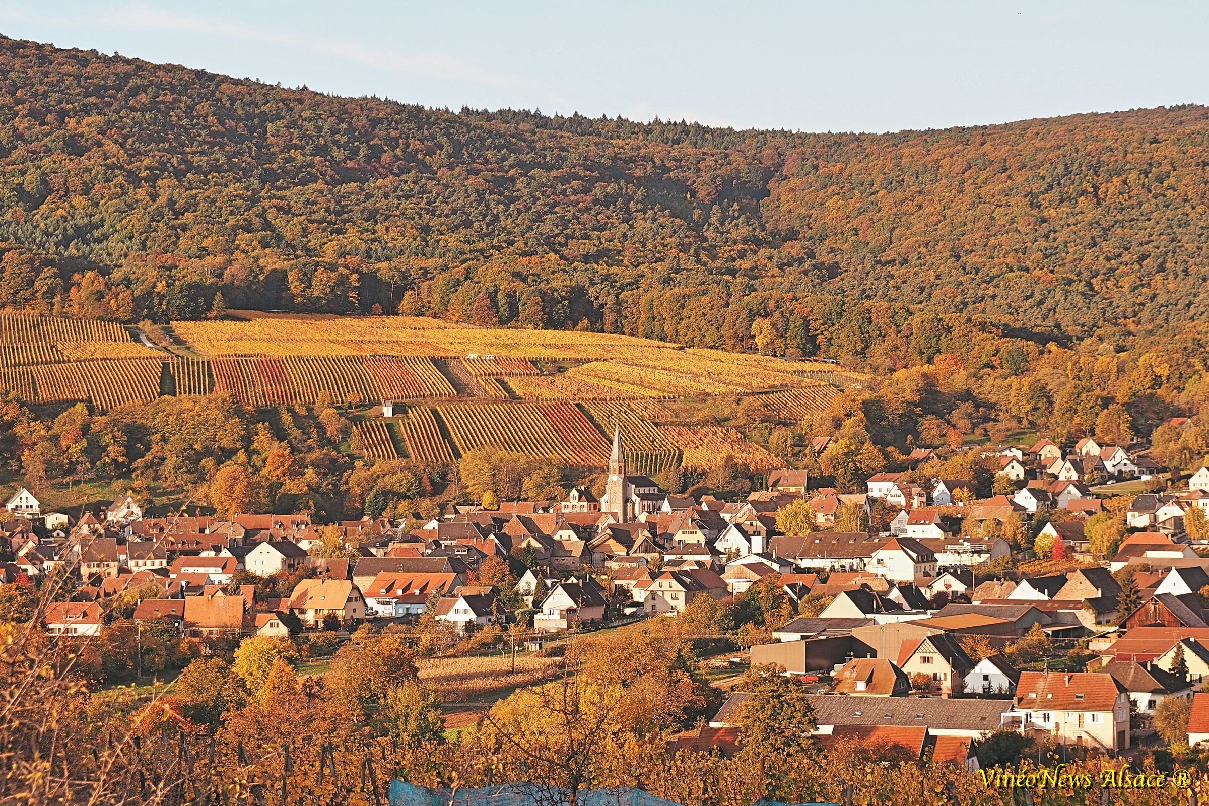 3V1D… le Domaine Materne Haegelin