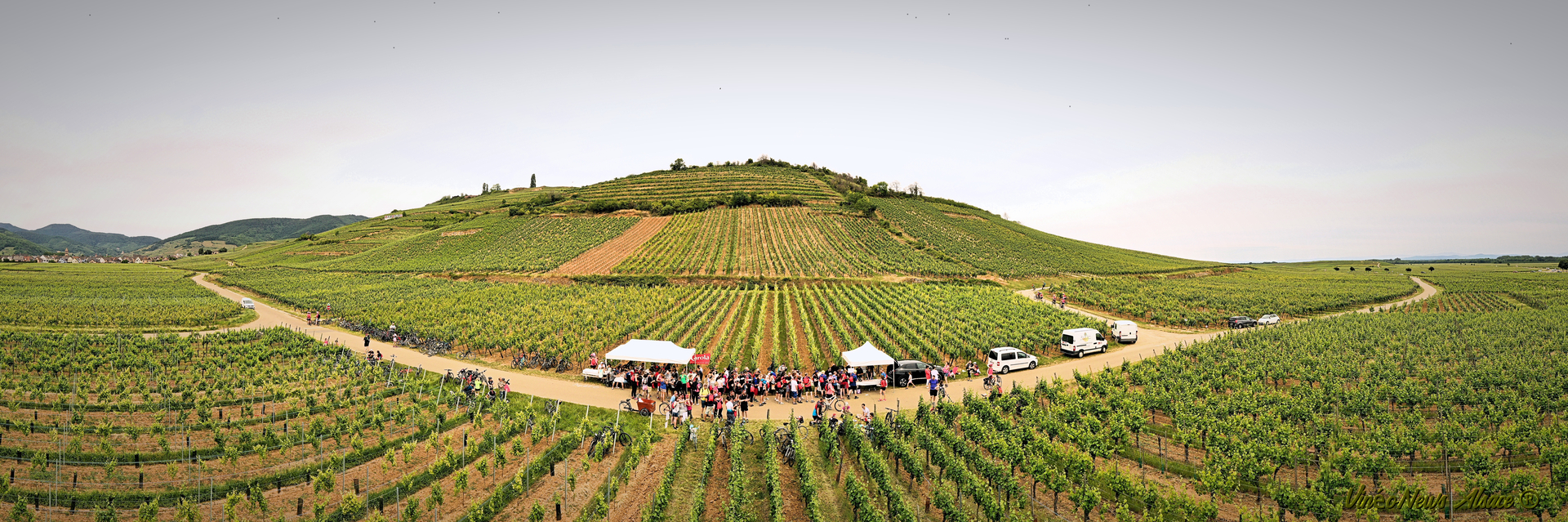 Tous en selle pour le Vélo Vino Tour