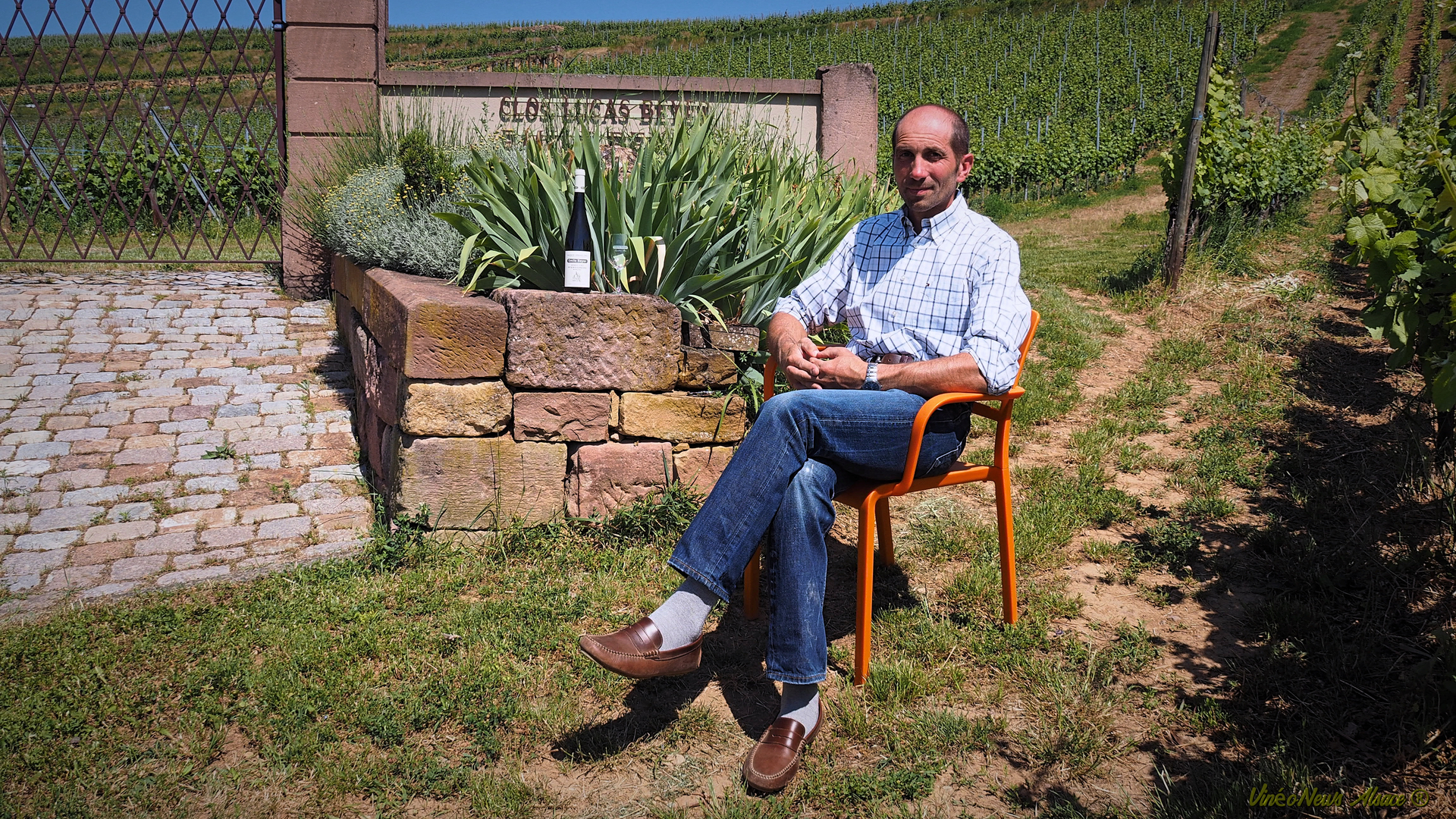 3V1D… le Domaine Emile Beyer
