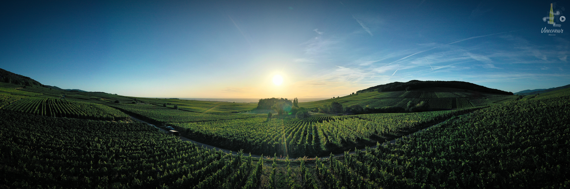 Domaine Tempé Jessel, les vendanges 2019