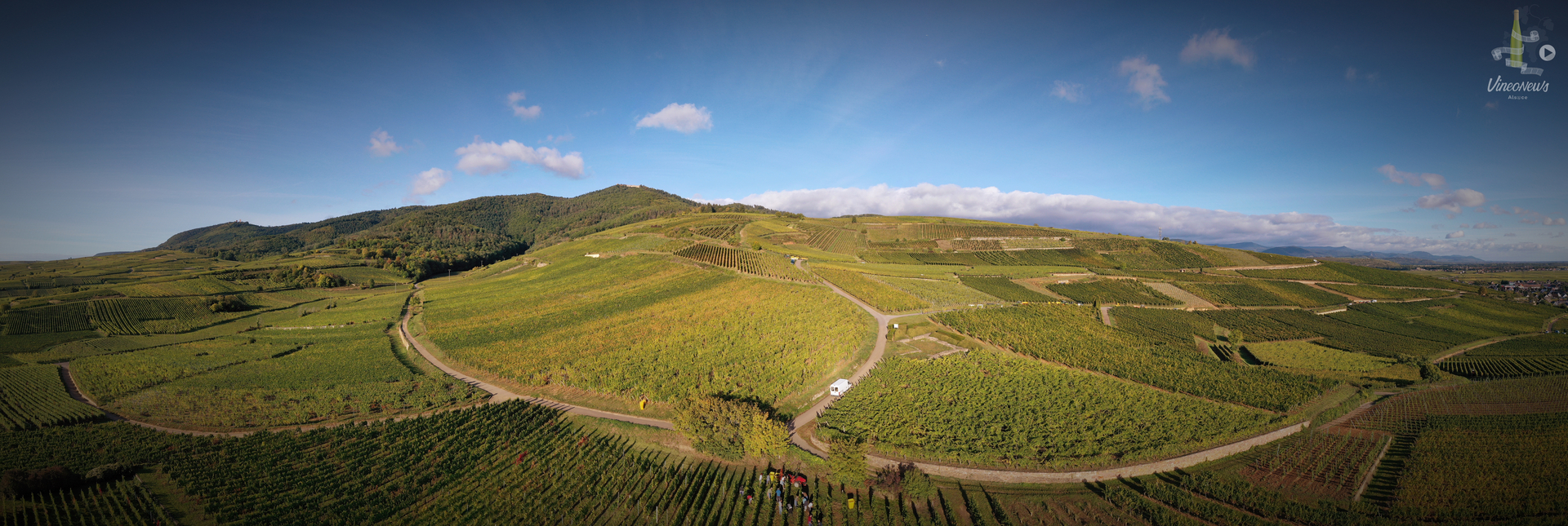 Domaine Paul Gaschy, les vendanges 2019