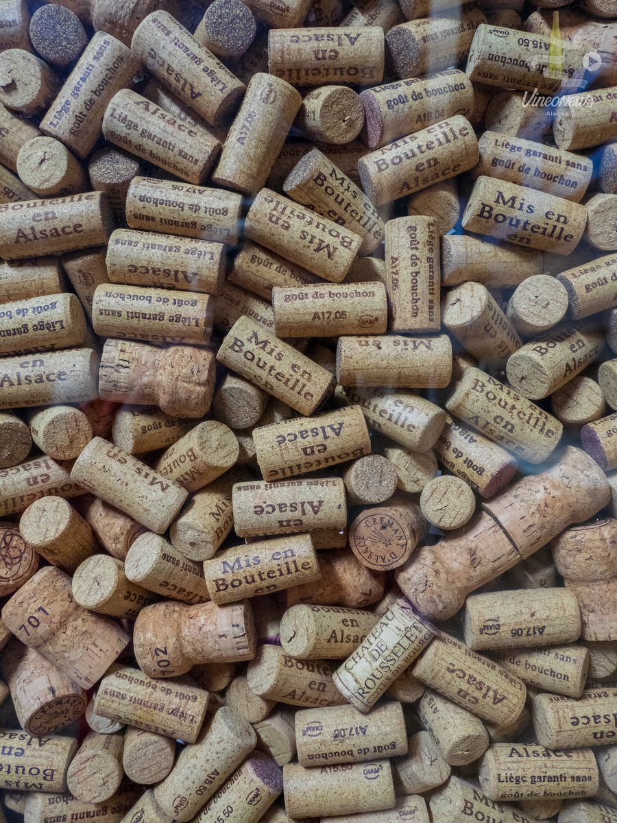 Domaine Humbrecht 1619
