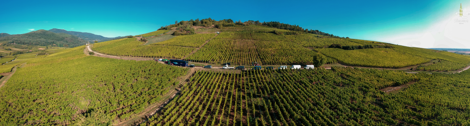 L’Altenberg de Bergheim selon Georges Lorentz