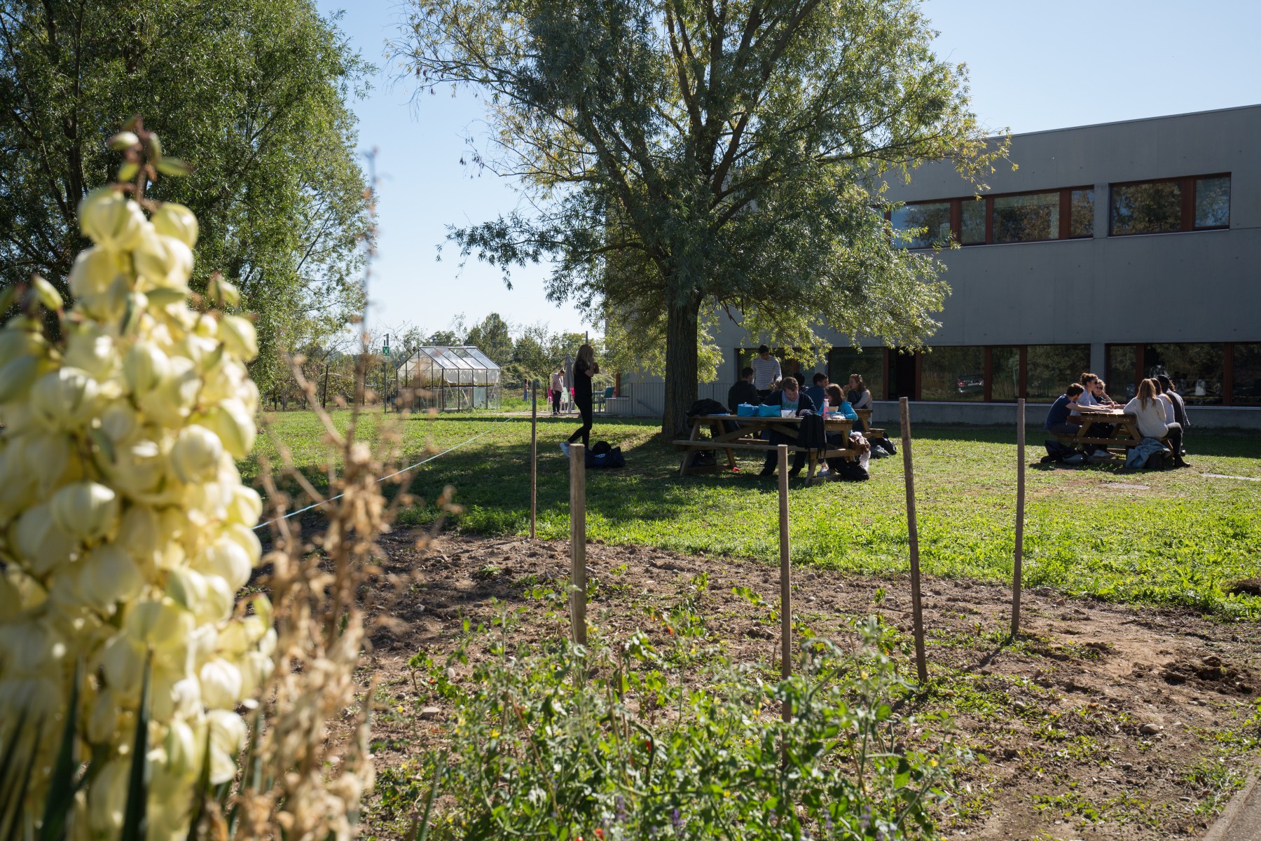 Le Master Franco-Allemand Viticulture et Œnologie : une formation d’avenir dans une filière ancestrale