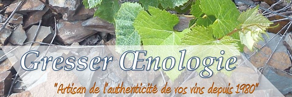 Réunion pré-vendanges 2021 avec le laboratoire Gresser