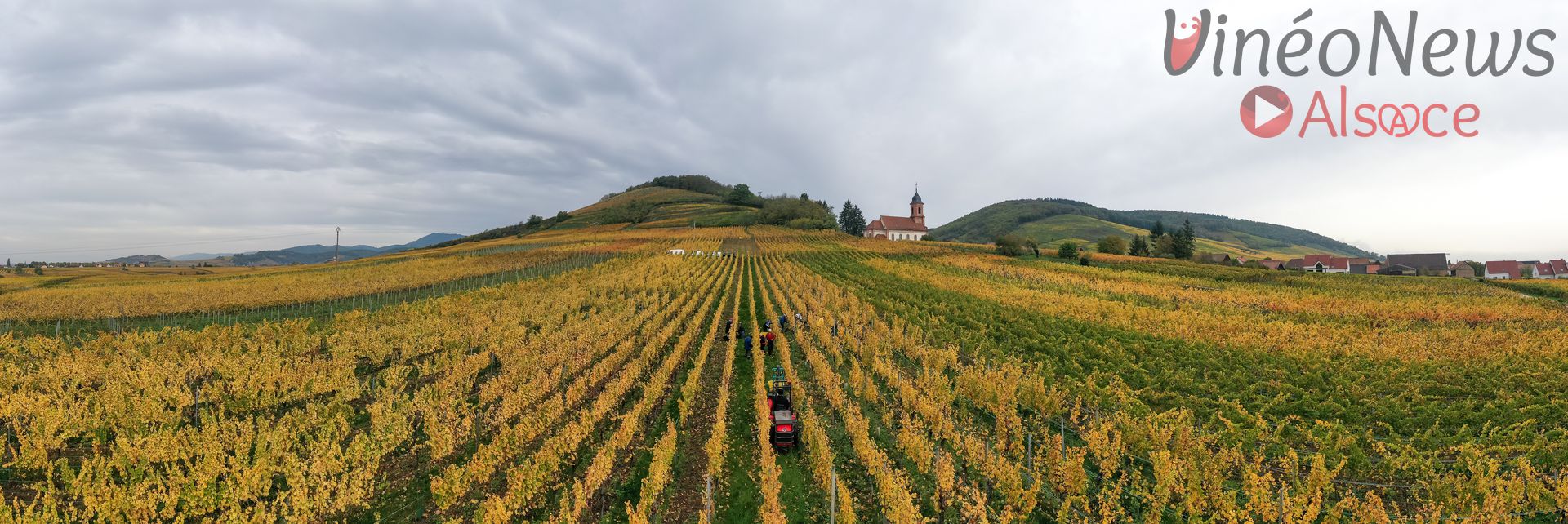 Domaine Alphonse Zimmermann, les vendanges 2022