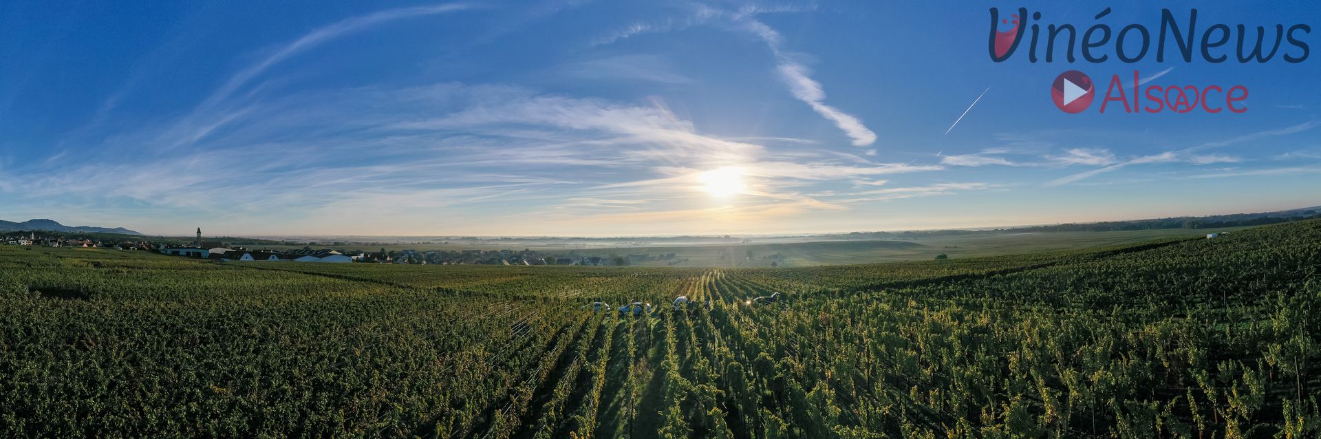 Domaine Laurent Barth, les vendanges 2022