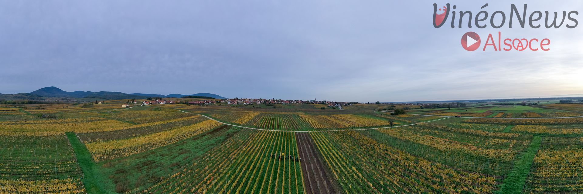 Domaine Francis Beck & Fils, les vendanges 2022