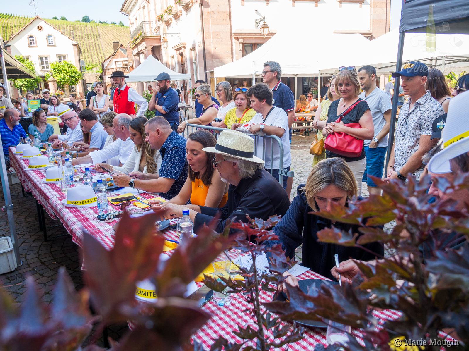 Riquewihr en fête, les Knepfles en vedette