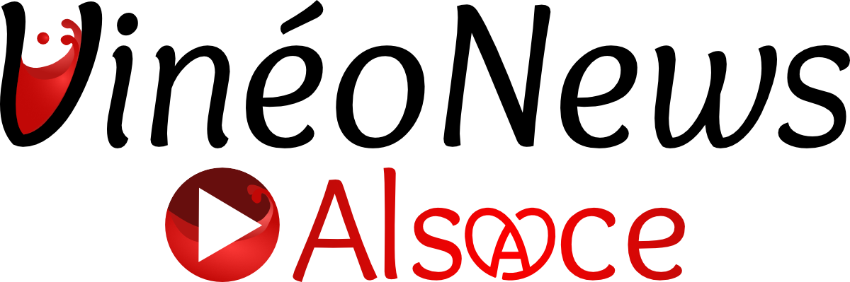 VineoNews Alsace logo