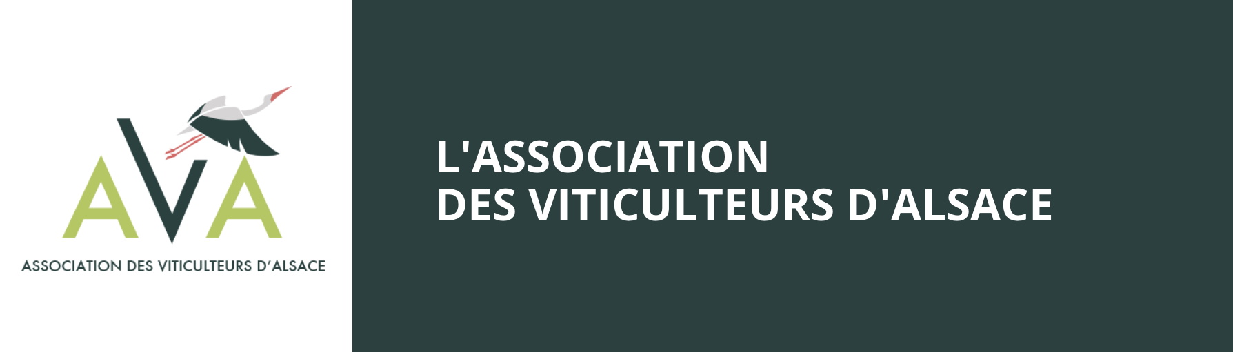 Entretien avec Gilles Ehrhart, Président de l’AVA