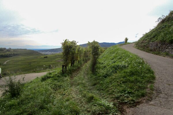 Image09