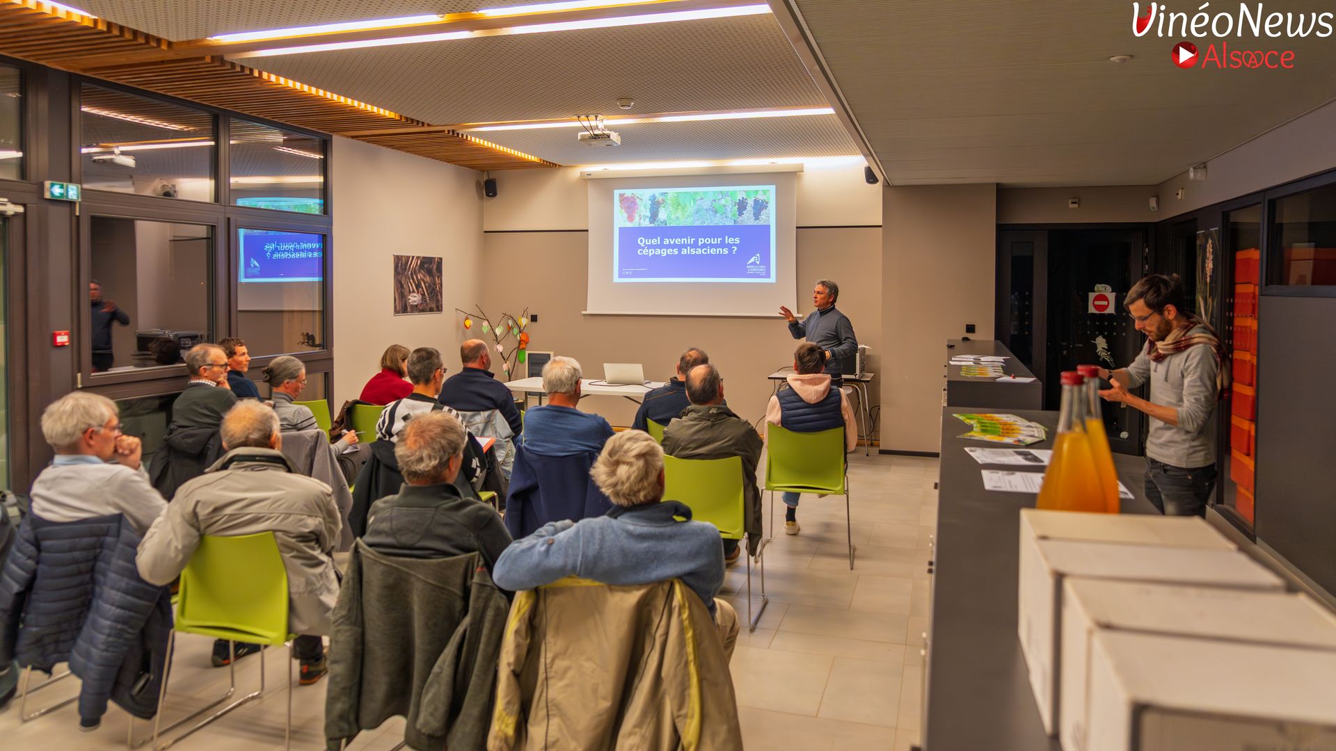 La viticulture alsacienne face au changement climatique, défis et adaptations