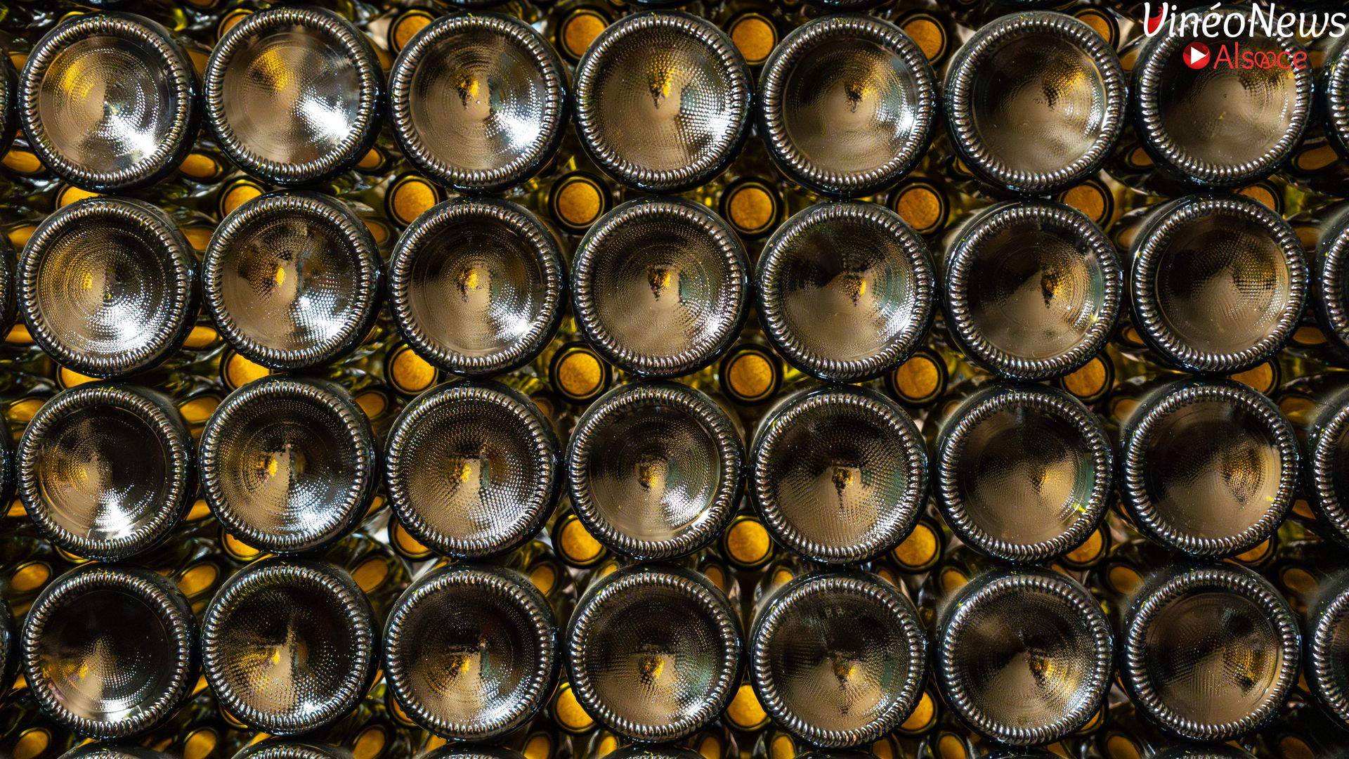Domaine Gilbert Ruhlmann, des pratiques durables, un vin sincère