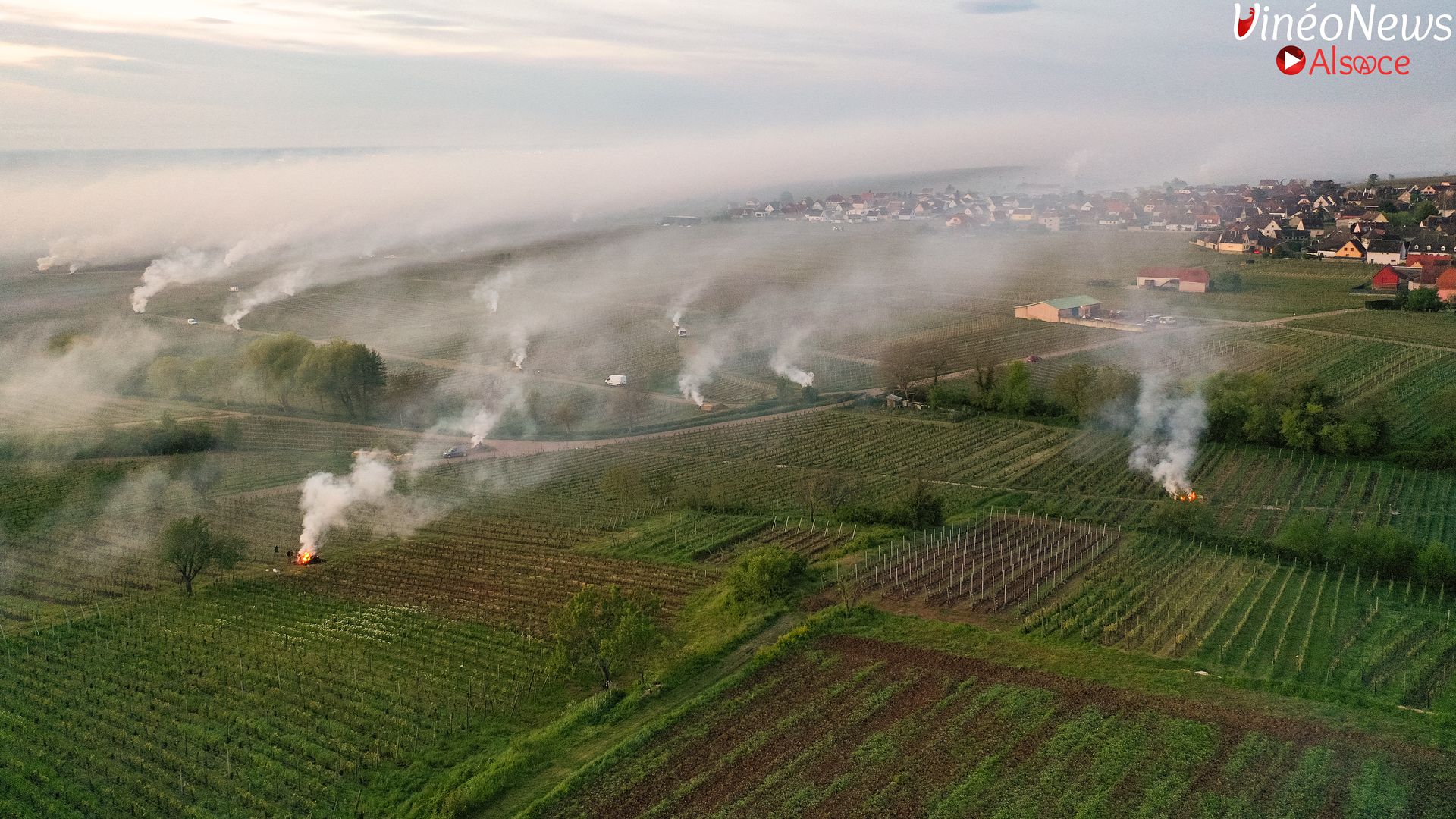 Le vignoble alsacien face au dérèglement climatique