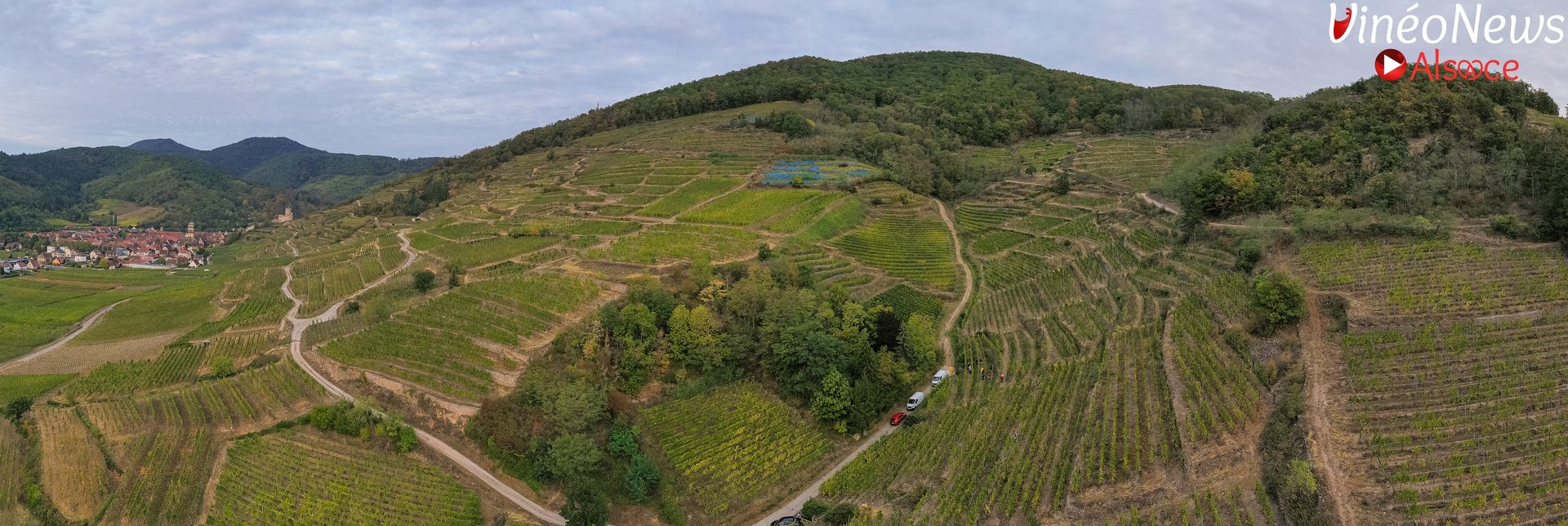 Labels et certifications environnementales dans la viticulture alsacienne