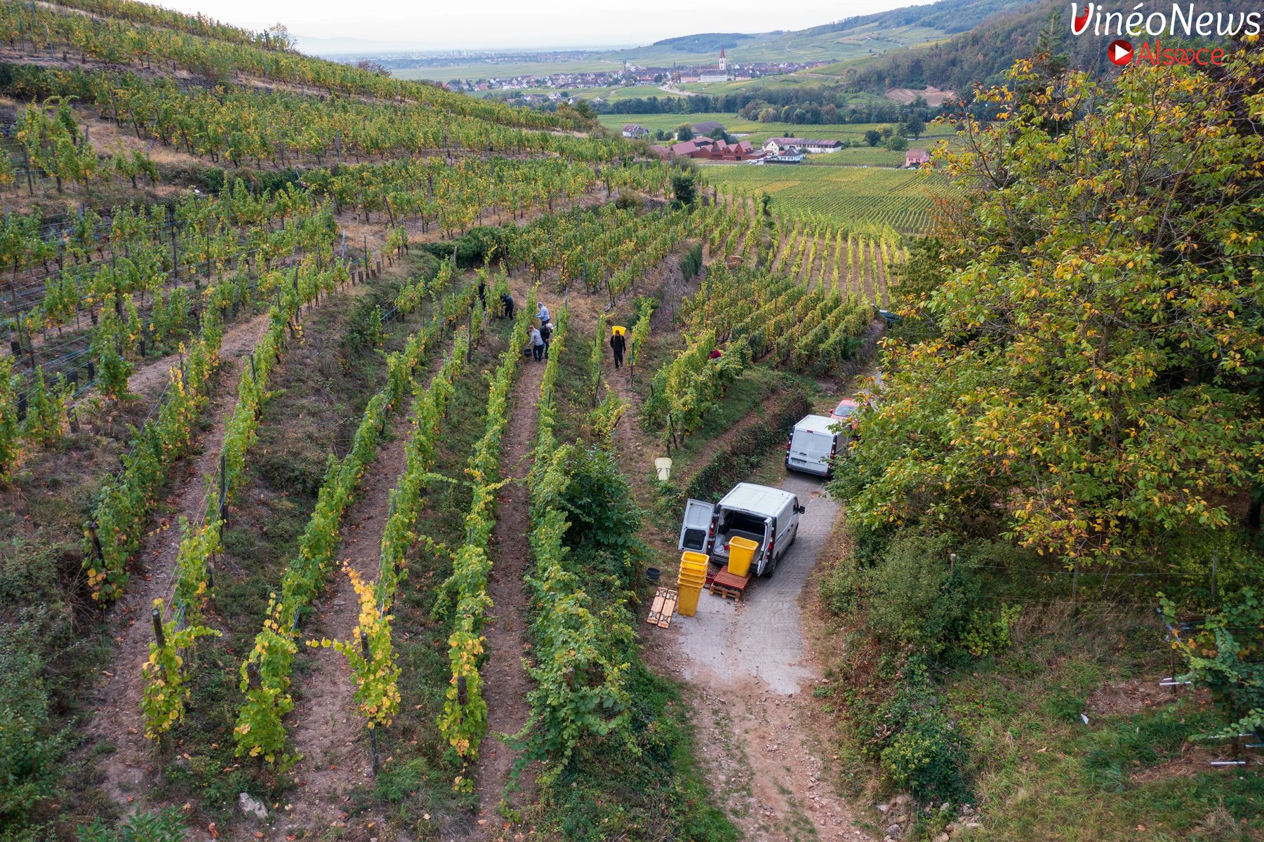 Domaine Karcher en bio à contre-courant du conventionnel