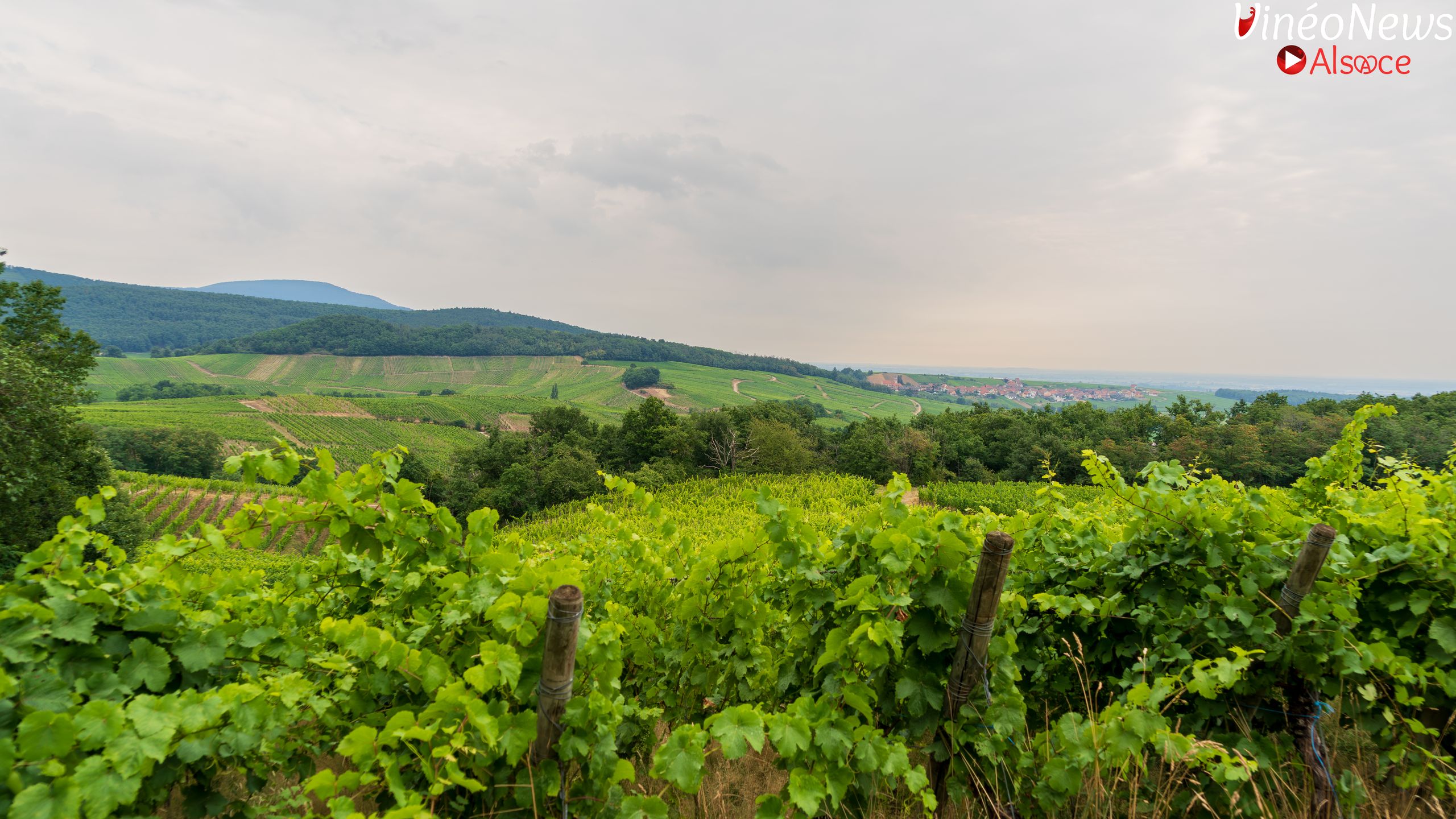 Domaine Exeterra, cultiver sans dominer, vinifier sans trahir