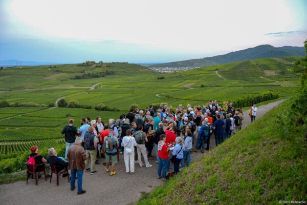 VinéoNews Alsace05
