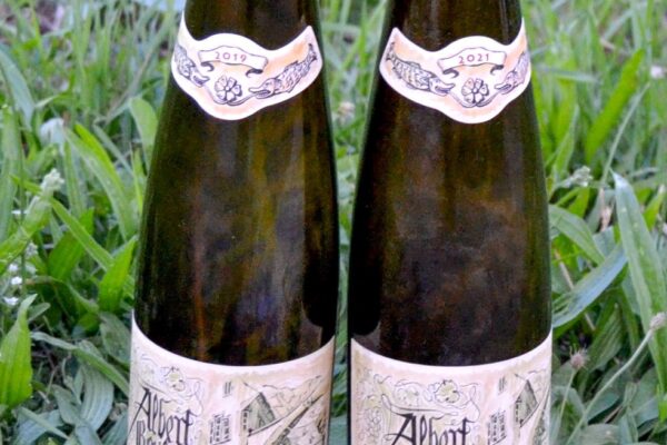 VinéoNews Alsace06
