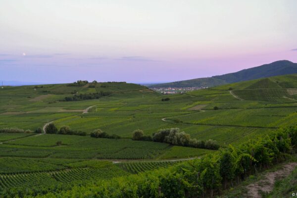 VinéoNews Alsace07