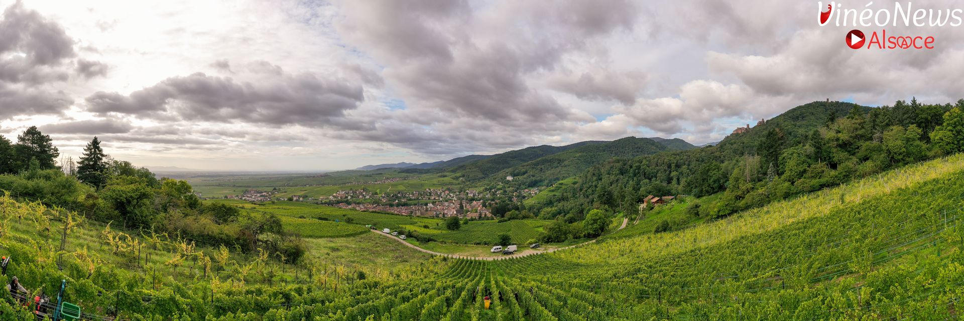 Au Domaine Jean Sipp, passion et convivialité son au cœur des vendanges