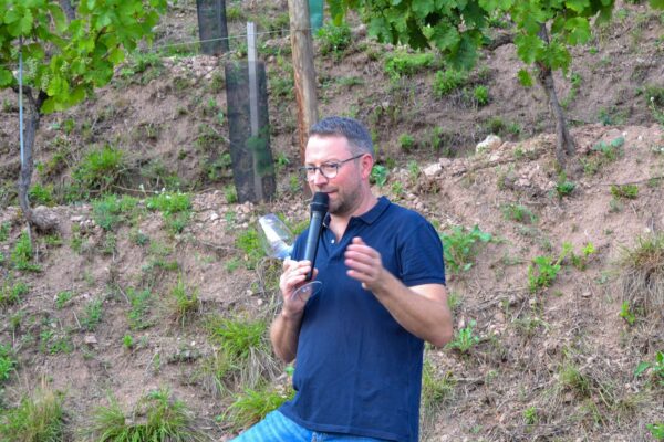 VinéoNews Alsace17