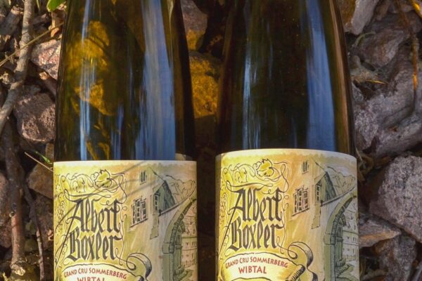 VinéoNews Alsace19