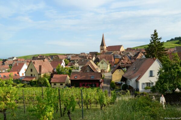 VinéoNews Alsace28