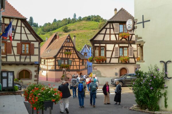 VinéoNews Alsace29
