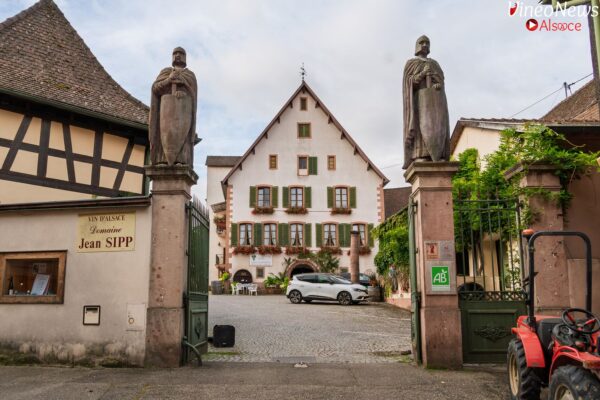 VinéoNews Alsace9