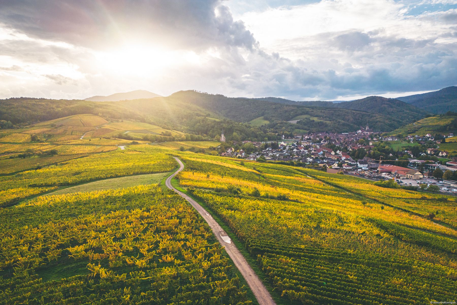 L’Alsace se réinvente entre art de vivre, gastronomie et terroir
