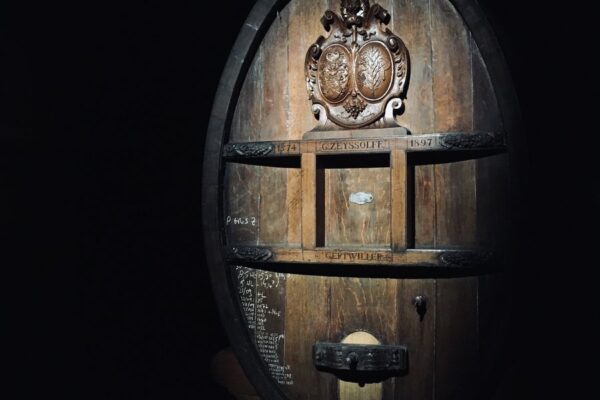VinéoNews Alsace01_3