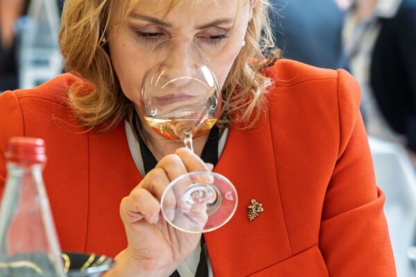 VinéoNews Alsace04