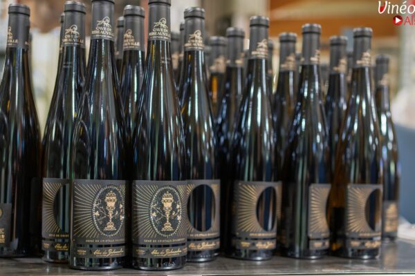 VinéoNews Alsace14