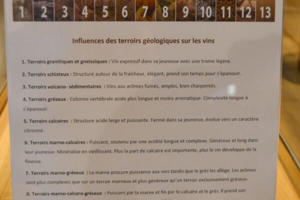 VinéoNews Alsace14 VinéoNews Alsace14