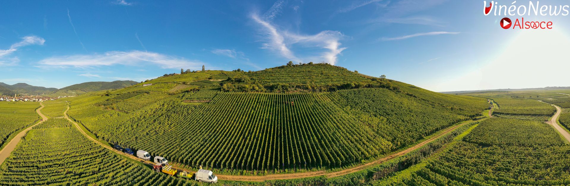 À la Cave de Beblenheim, la force du collectif au service des terroirs