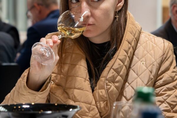 VN Communication alsace 13 VN Communication alsace 13