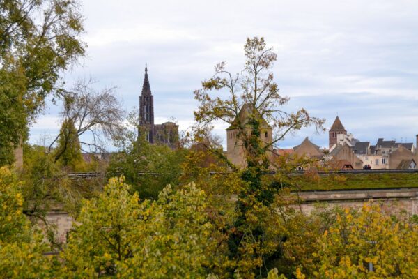 VN Communication alsace 35